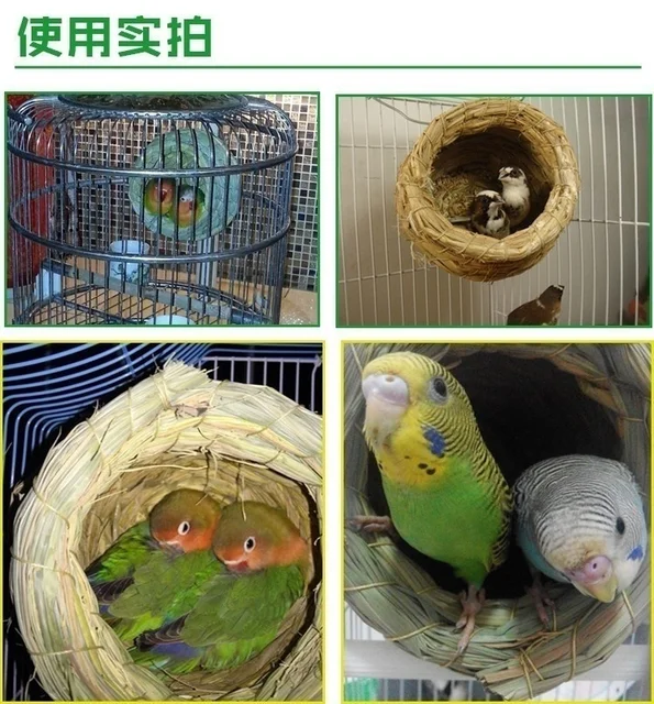 Oiseau Perroquet en Paille Tiss s La Main Cage Animaux Hamster Perroquet closion D levage Grotte