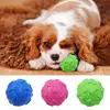 Dog Toy Bone Head Ball Pets Grinding Teeth Stick Toothbrush Dog Bite Rubber Sound Making Toy Tpr Material Pet Toy Sounding Toys 1