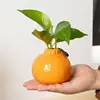 Tangerine Vases for Home Living Room Decorations Dried Flower Vases 4