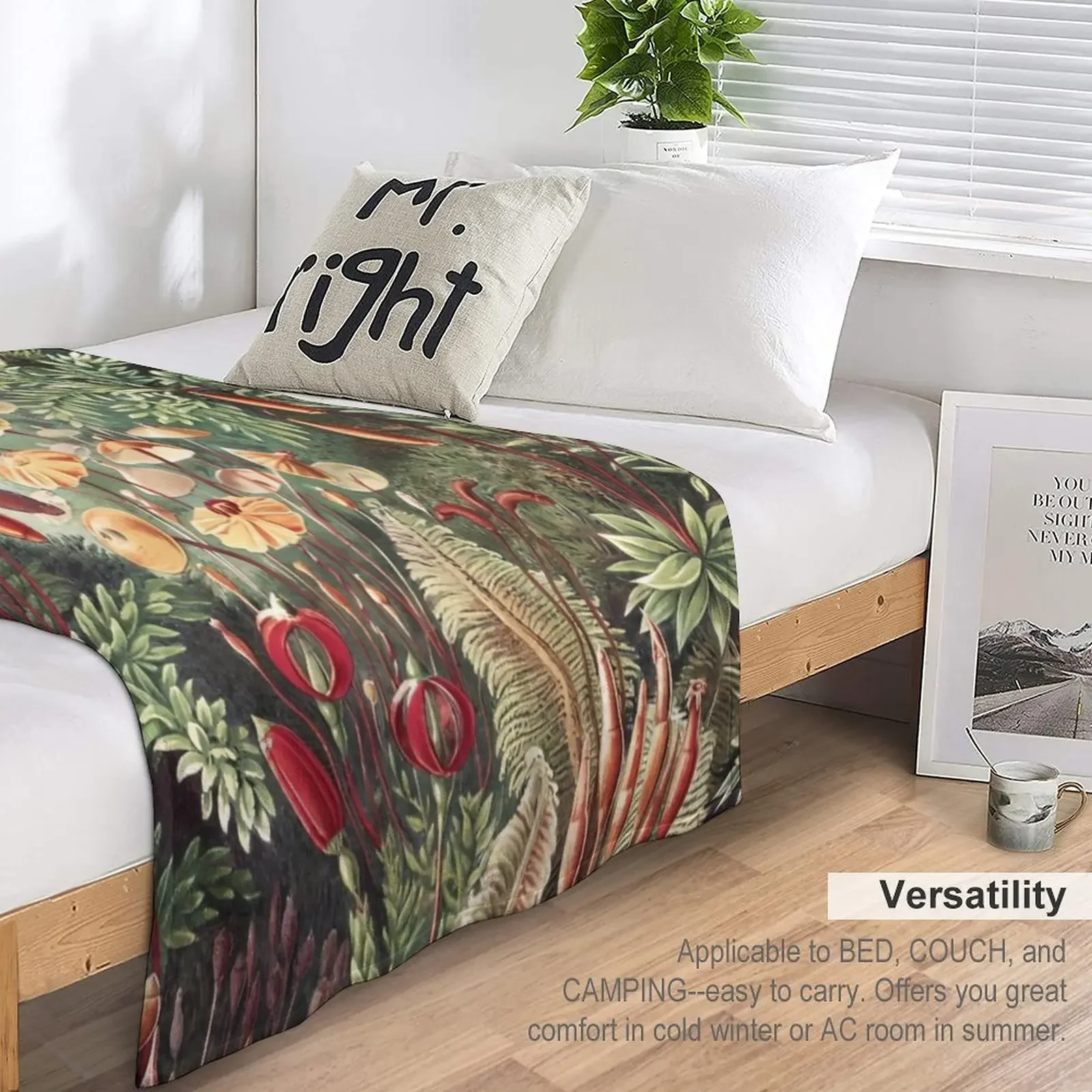 �̳�-Ernst Haeckel ������ ��� ���, �ſ� ū �̺� ���