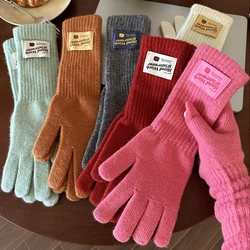 Touch Screen Gloves Women Winter Thicken Warm Knitted Stretch Gloves Full Finger Outdoor Skiing Gloves For Women Work Mittens