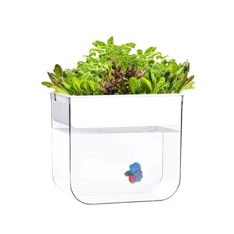

Аквариум Aquaponics Ecosystem, маленький водяной сад, экологический аквариум, прозрачный аквариум