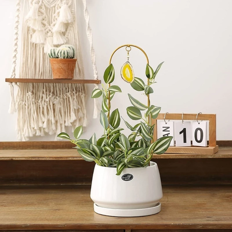 Metal Plant Trellis for Climbing Plants Indoor Stems Vine Support Metal Wire Stake Potted Plant Trellis Houseplant Rack