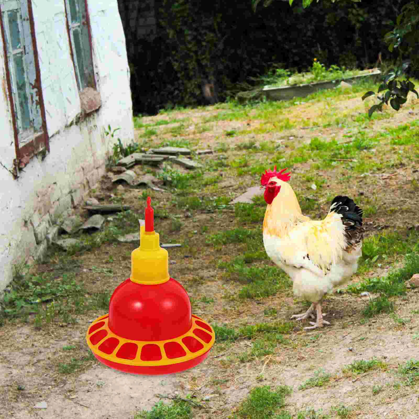 

Pigeon Water Feeder Bird Feeding Water Dispenser Pigeon Plastic Water Feeder