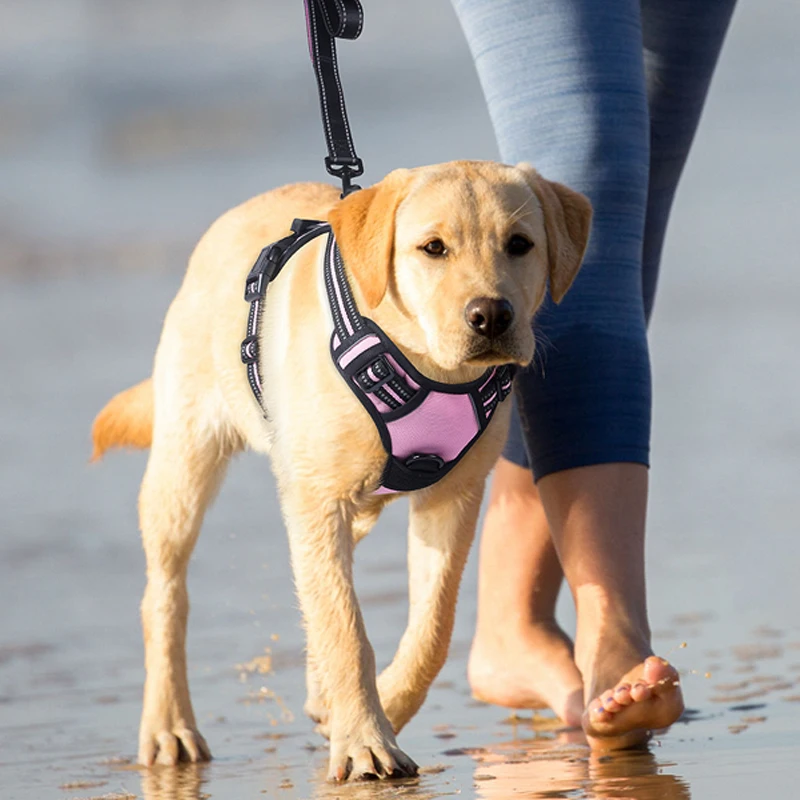 Arnês de segurança reflexivo para cão, Colar ajustável do treinamento do cão, Esporte ao ar livre, No Pull Vest, Pet Items