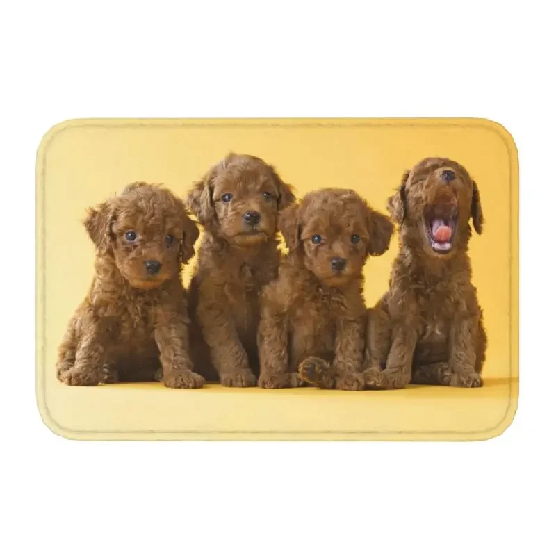 

Cute Poodle Dog Pet Print Front Door Floor Entrance Mat Indoor Animal Pattern Bathroom Kitchen Doormat Living Room Carpet Rug