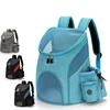 Portable Foldable Mesh Pet Carrier Dog Backpack Breathable Bag Dog Cat Large Capacity Outdoor Travel Carrier Double Shoulder Bag