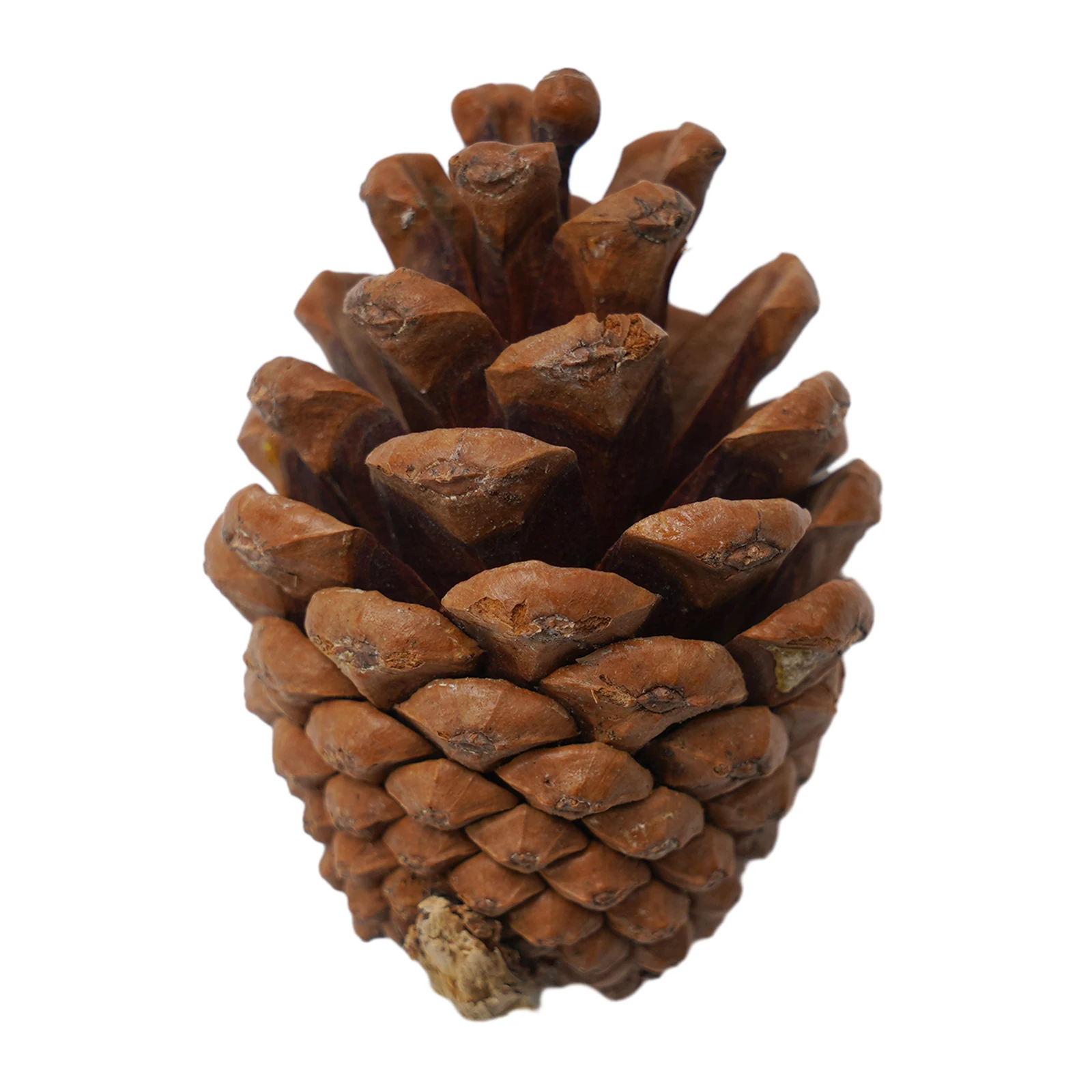 Artificial Pumpkin Gourd Acorn Berries Maple Leaf Fall Harvest Decor Props DIY Tool 50pc table decoration artificial plant flowers artificial plant flower artificial pumpkin decoration