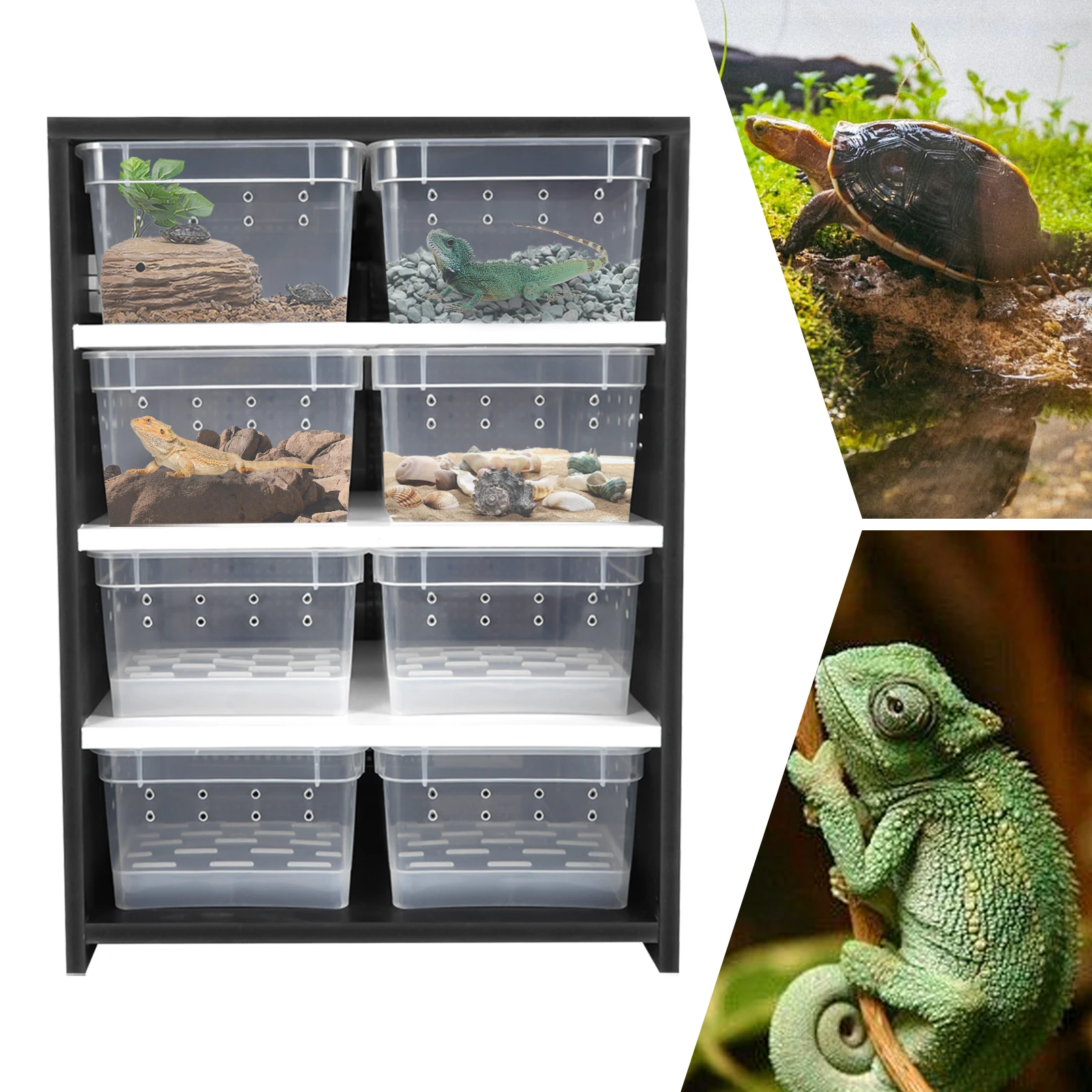 The Ultimate Breeding Stand Review: Why This 220V Black Cabinet Is My ...