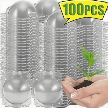 10-100PCS Plant Rooting Ball Grafting Rooting Box Breeding Case High Pressure Plant Root Growing Box For Garden Planting Supply