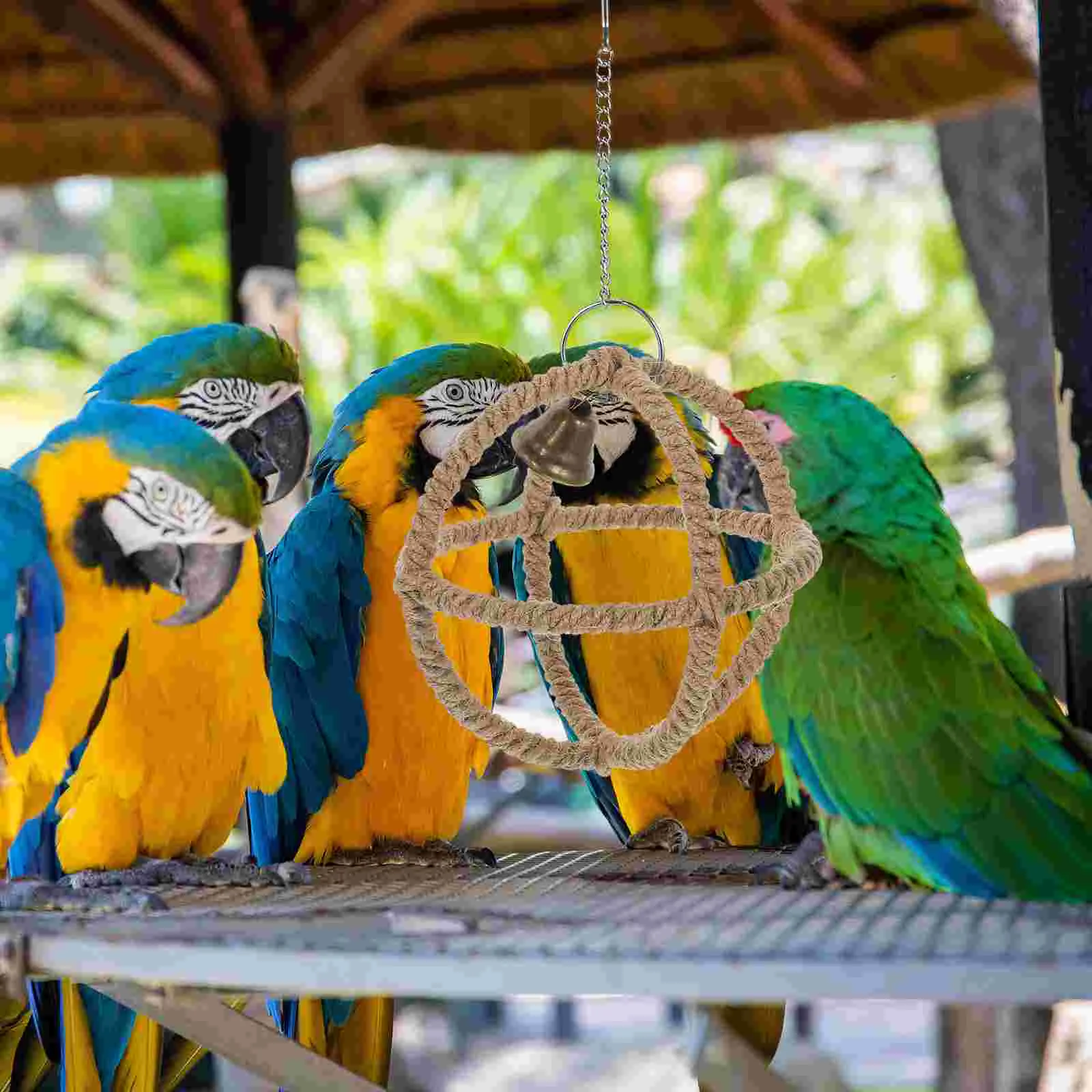 Parrot Toy Bird Toy Bird Cage Accessories Bird Perch Stand Bird Swing Toy Toys Parrot Swing Birdcage Decorative Hanging Funny Stand Rack Perch for Parakeet