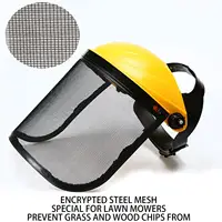 Face Shield - Lawn Care