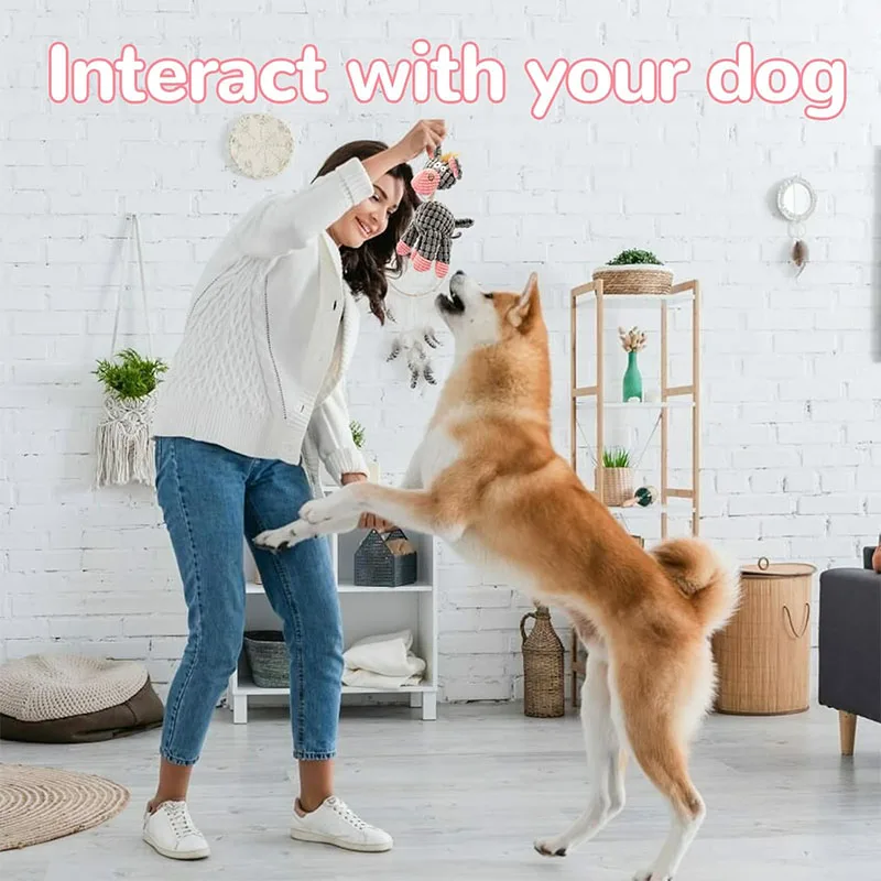 Stuffed Animal Plush Dog Toy with Squeakers Aggressive Chew Toys for Small Medium Large Dogs Pet Products 2