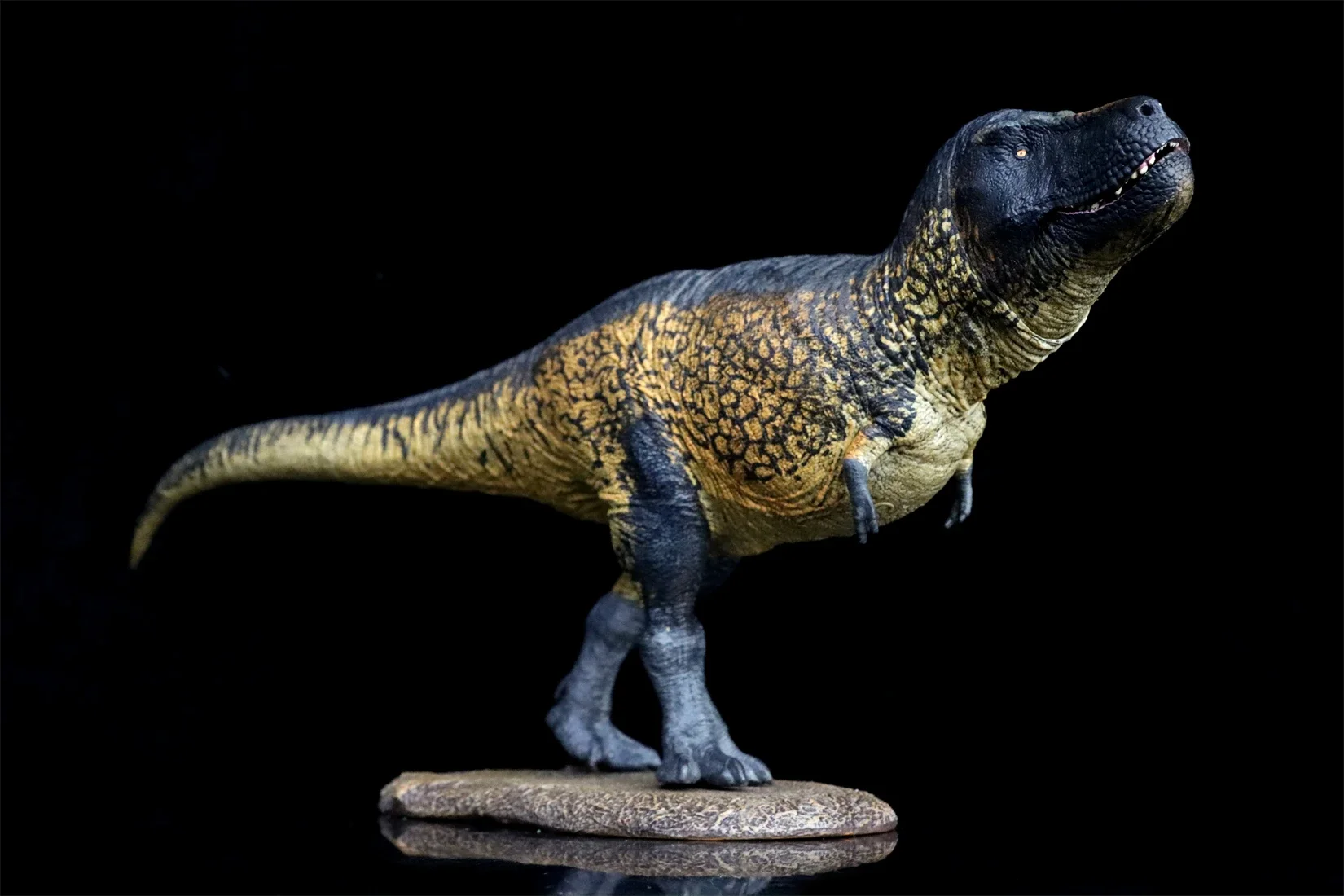Eofauna 1/35 サイズ ティラノサウルス T-REX 恐竜フィギュア Amazon.com: WLNTDOLA Eofauna 1:35 Scale Tyrannosaurus SUE