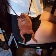 Realistic Sugar Cane Toad Full Body Purse Money Key Storage Bags Change Wallet Decoration Storage Gifts Frog Wallet Figure Toys