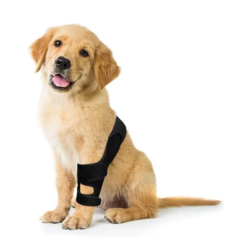 

Universal Soft Breathable Dog Knee Support Brace, Elbow Stabilizer, Pet Joint, Decompression Leg Brace, Pain Relief, Extremity