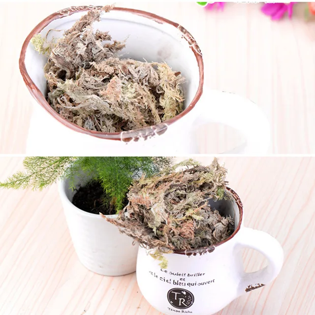 Növények Sphagnum Moha, Szárított Táplálkozási Szerves Műtrágya, Természetes Moha Az Orchidea Falaenopsis Virágához - Image 3