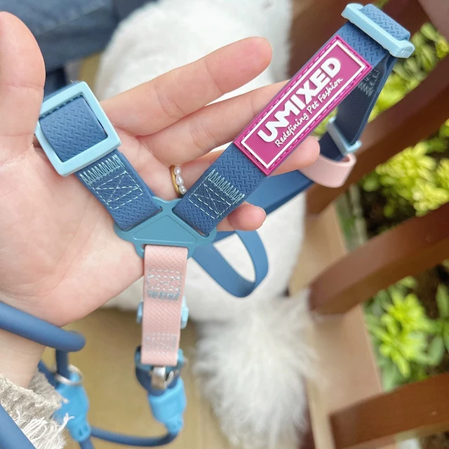 Adjustable Color Blocking Design Dog Harnesses Waterproof  PVC Walking Leash Rope Chest And Back Set For Dog Outdoor Training 6