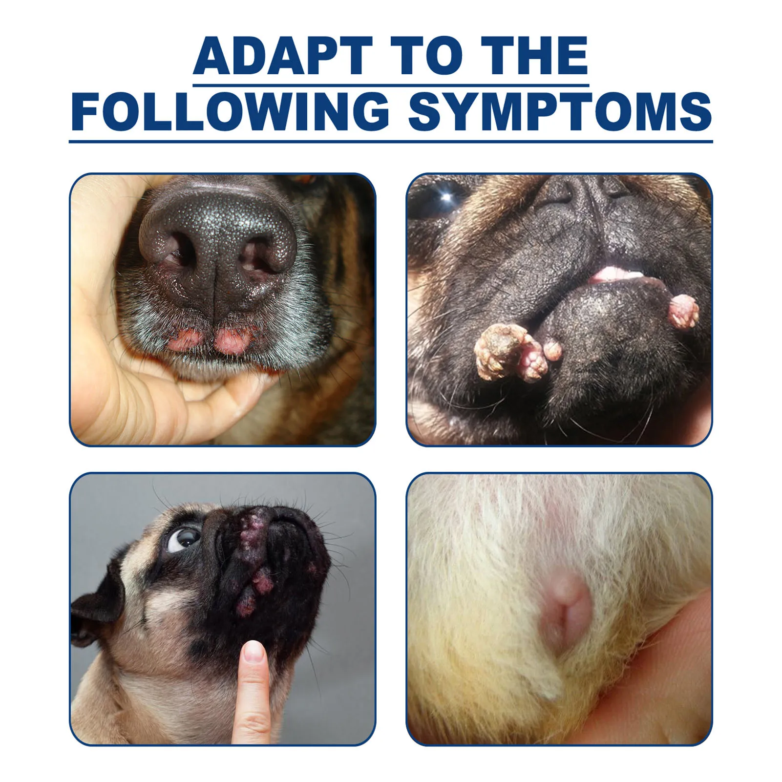 20ML Pet Dog Warts Remover Natural Dog Skin Tags Wart Removal Treat Against Moles Papilloma Warts Remover Liquid For Pet dog warts remover