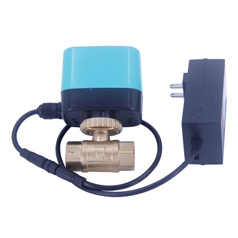 

APP Control Smart Electric WIFI 1/4 inch stainless steel Smart Wireless electric water ball Valve for Watering Irrigation