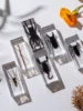 1PC Real Insect Bug Specimen Taxidermia Clear Large Bug Epoxy Resin Stick Insect Insect Scorpion Specimen Craft Decoration 3