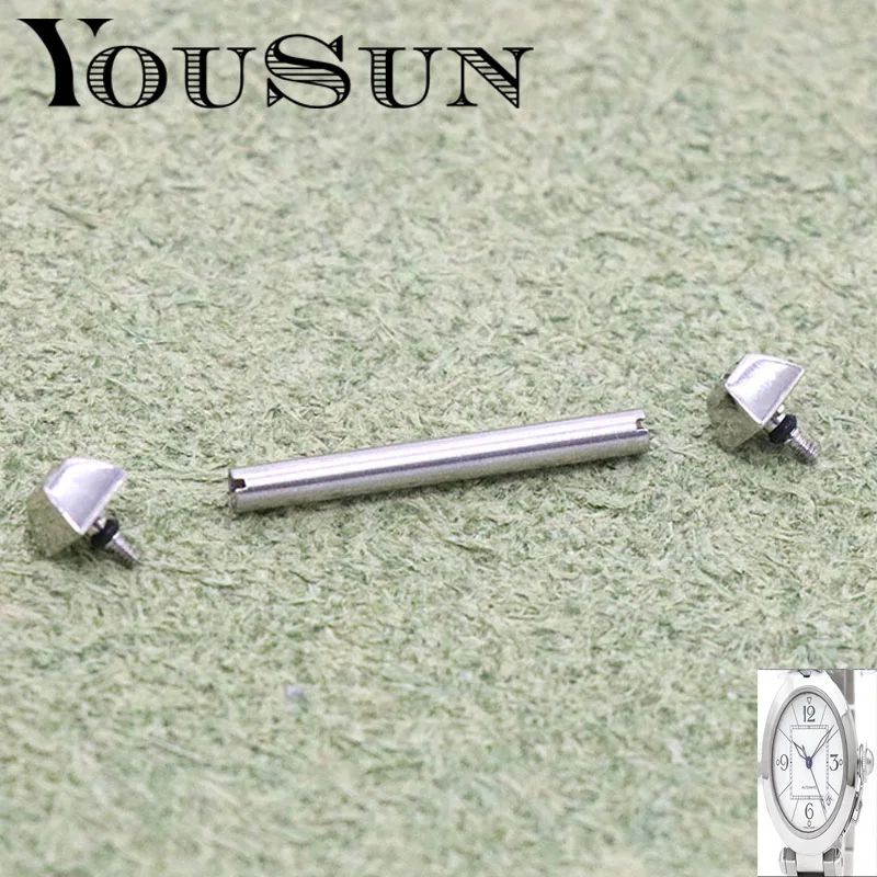 Per Cartier Pasha Hat Screw Fine Steel Link Shaft Vite Rod Accessori Per Orologi Ad Albero Fisso