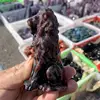 Natural Garnet Lion Carving  Animal Ornaments Statue Gift Healing Gem Crafts For Home Decoration 1PCS 3