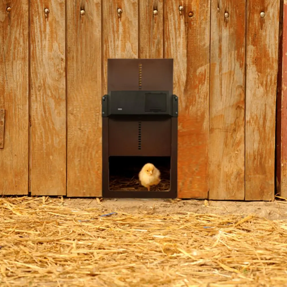 Puerta automática para gallinero, aluminio resistente, resistente al agua,  sensor de temporizador/luz, a prueba de depredadores, fácil instalación y