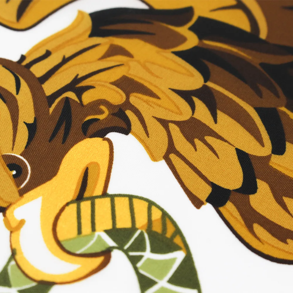 SKY FLAG Mexico National flag polyester Hanging Printed Mex Mx Mexican National Flags Mexicanos Banner For Decoration