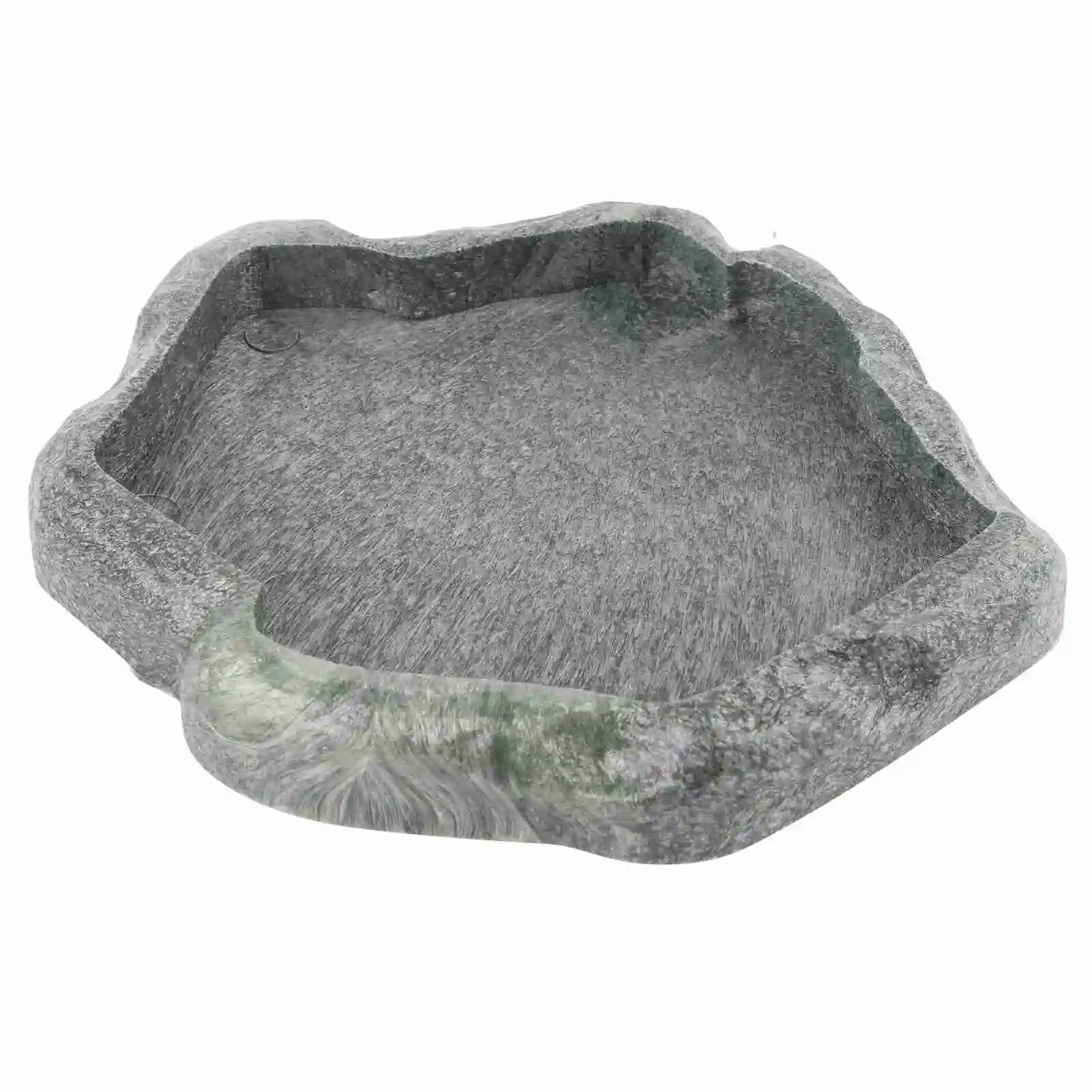 Reptile Feeder 1