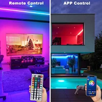 5V USB Led Strip Lights 5m 10m 20m 30m Led Room Light Flexible Ribbon Luces Led Tape for Home Room Bedroom Decor TV Backlight 2