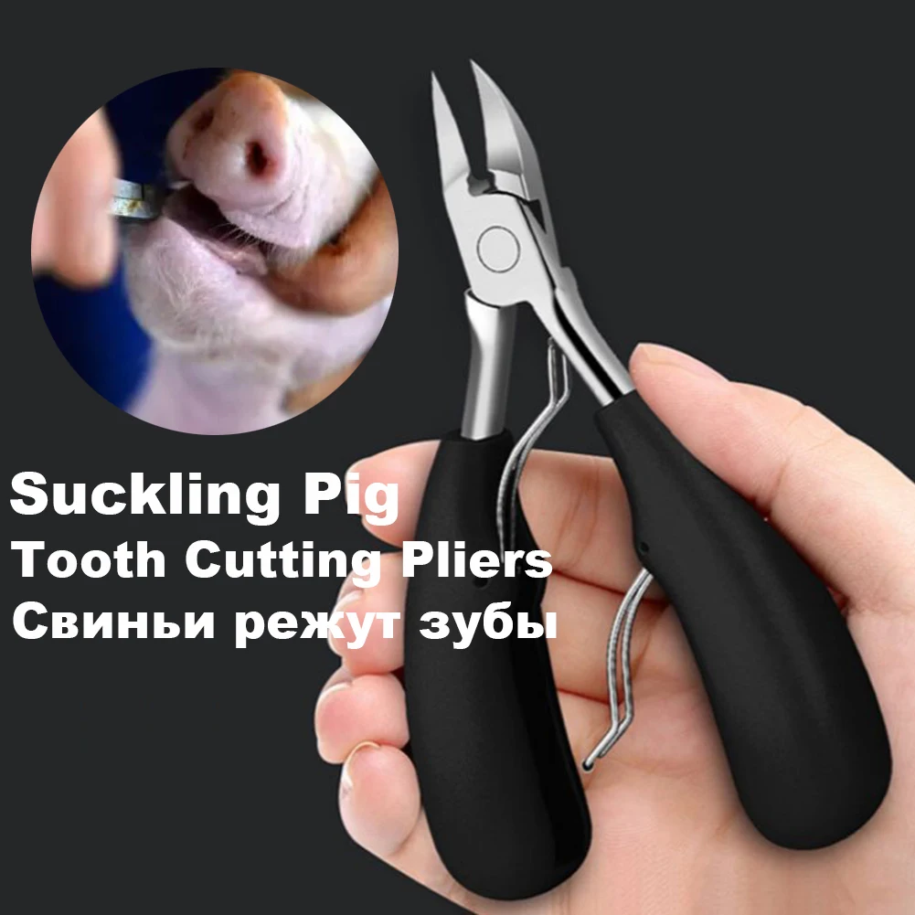 Animal Cutting Tools Pig Tooth Cutting Pliers Farm Breeding Equipment Small Suckling Pig teeth Cutting Pliers Pet and livestock farm