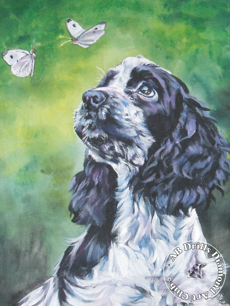 Diamond Painting 5D Fai Da Te YSCOLOR - Black Cocker Spaniel, Tela 30x40cm, Kit Completo Con Diamanti Rotondi