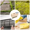 Moss Removal From Pavers Driveway Moss Remover Weeding Wire Brush Manual Crevice Weeding Tool Grout Remover Multifunctional 45 5
