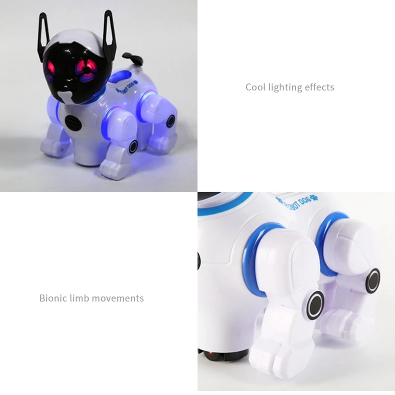 How Much Money Is Chip The Robot Dog
