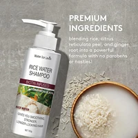 Shampoing à l'Eau de Riz à la Biotine et Kératine - Lissage et Renforcement, Fraîcheur Citronnée, Cheveux Longs et Résistants, Soin Hivernal 4