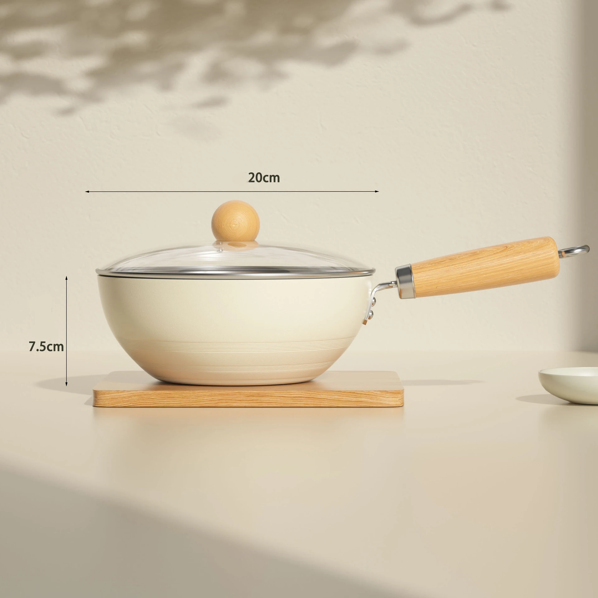 20cm with lid