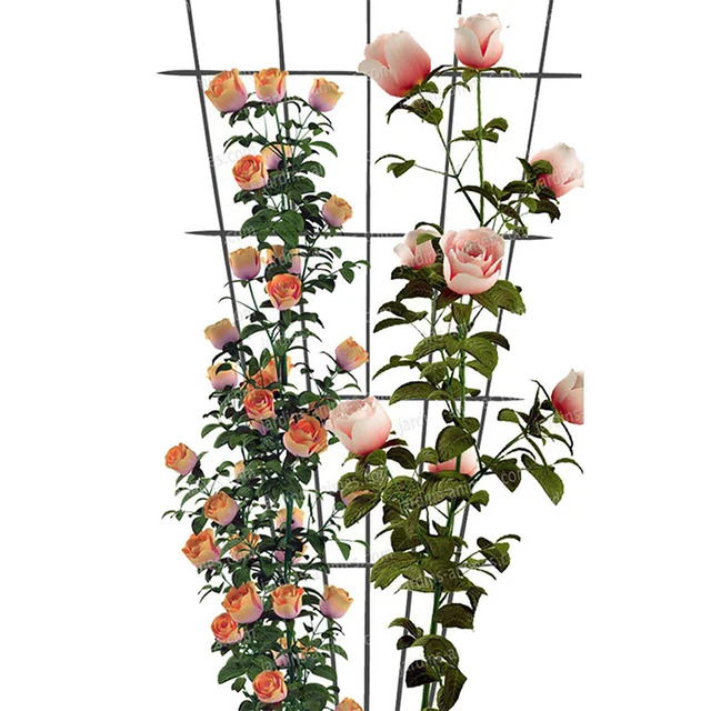 1 Db Növényi Támogató Keret Tartós Kreatív Hegymászó Szőlőállvány Diy Virág Szőlő Edénykert Szerszámok - Image 2