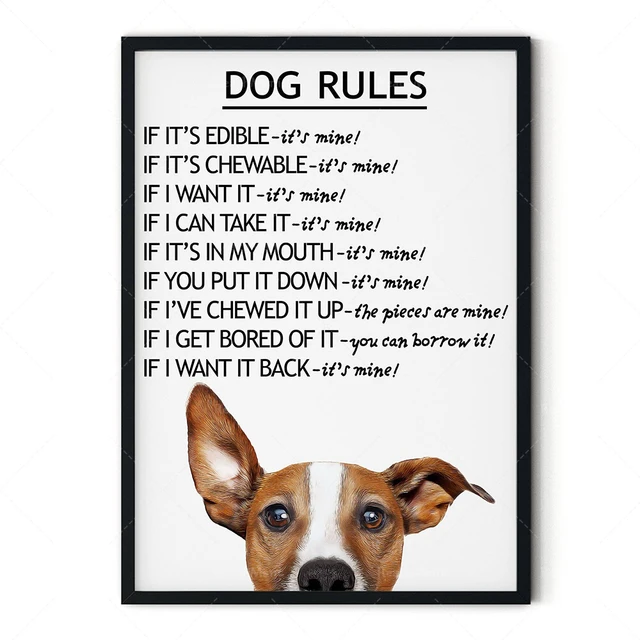 cockapoo prints and posters