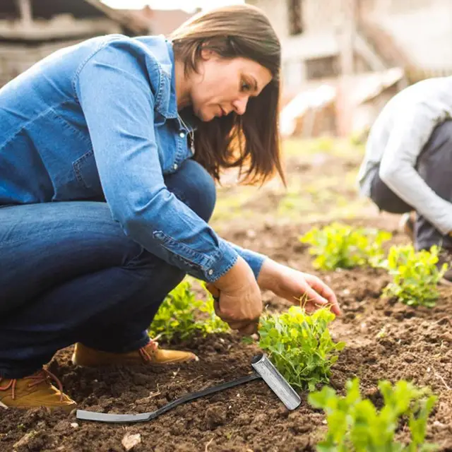 Kertészővédő Trowel Transplanter Weeder Kis Hartország Ergonomia Kezelés Kapcsolatok Kertészeti Szerszámok - Image 2
