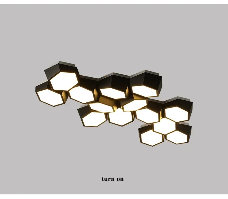 Honeycomb Ceiling Lamp Image 11