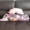 50~120cm Sleeping Pig Plush Pillow Stuffed Printing Animal Pillow Lumbar Support Bed Chair Cot Decor Cushion 5