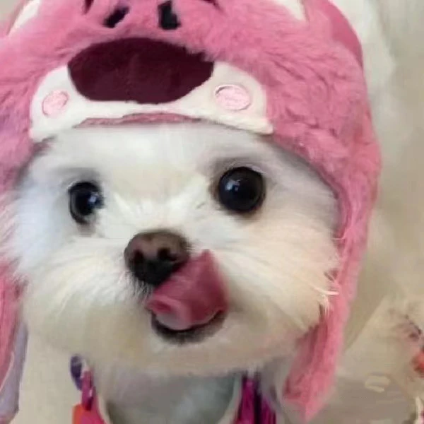 Pets Homie Store