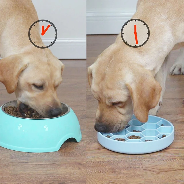 Pet Dog Slow Feeder Bowl Non Slip Puzzle Bowl Anti-Gulping Pet Slower Food  Feeding Dishes Dog Bowl For Medium Small Dogs Puppy - AliExpress