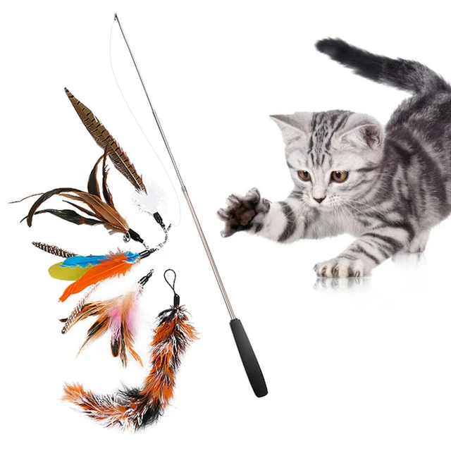 Funny Cat Toy Set Colorful Feather Replacement Interactive Cat Toys Kitten  Feather Teasing Wand Toy Fishing Rod Cat Stick T - AliExpress