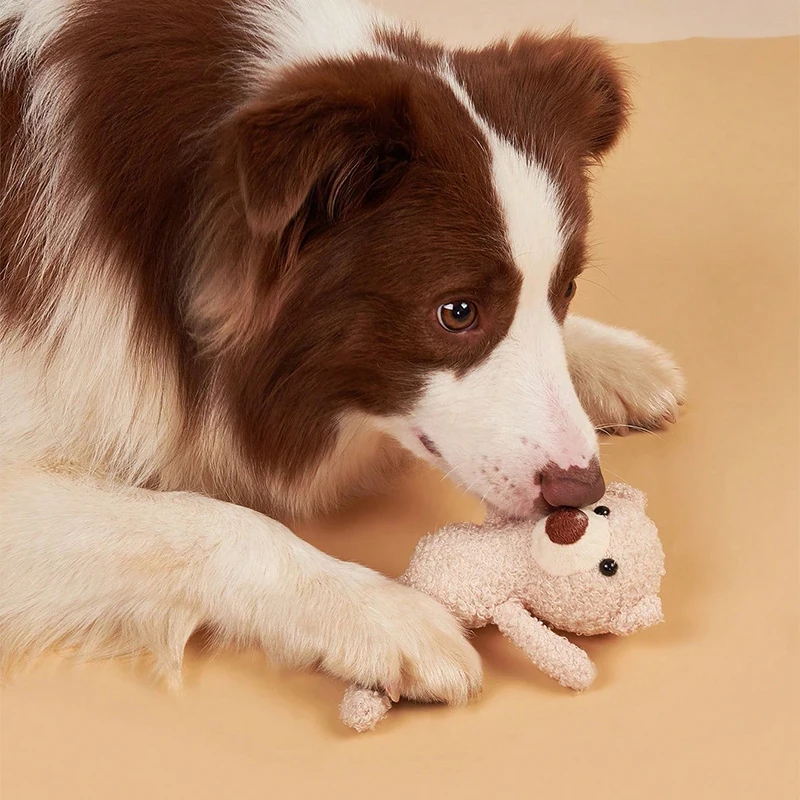 1 cartoon bear shape pet plush toy for pet interactive play Valentine's Day, party, birthday gifts 3