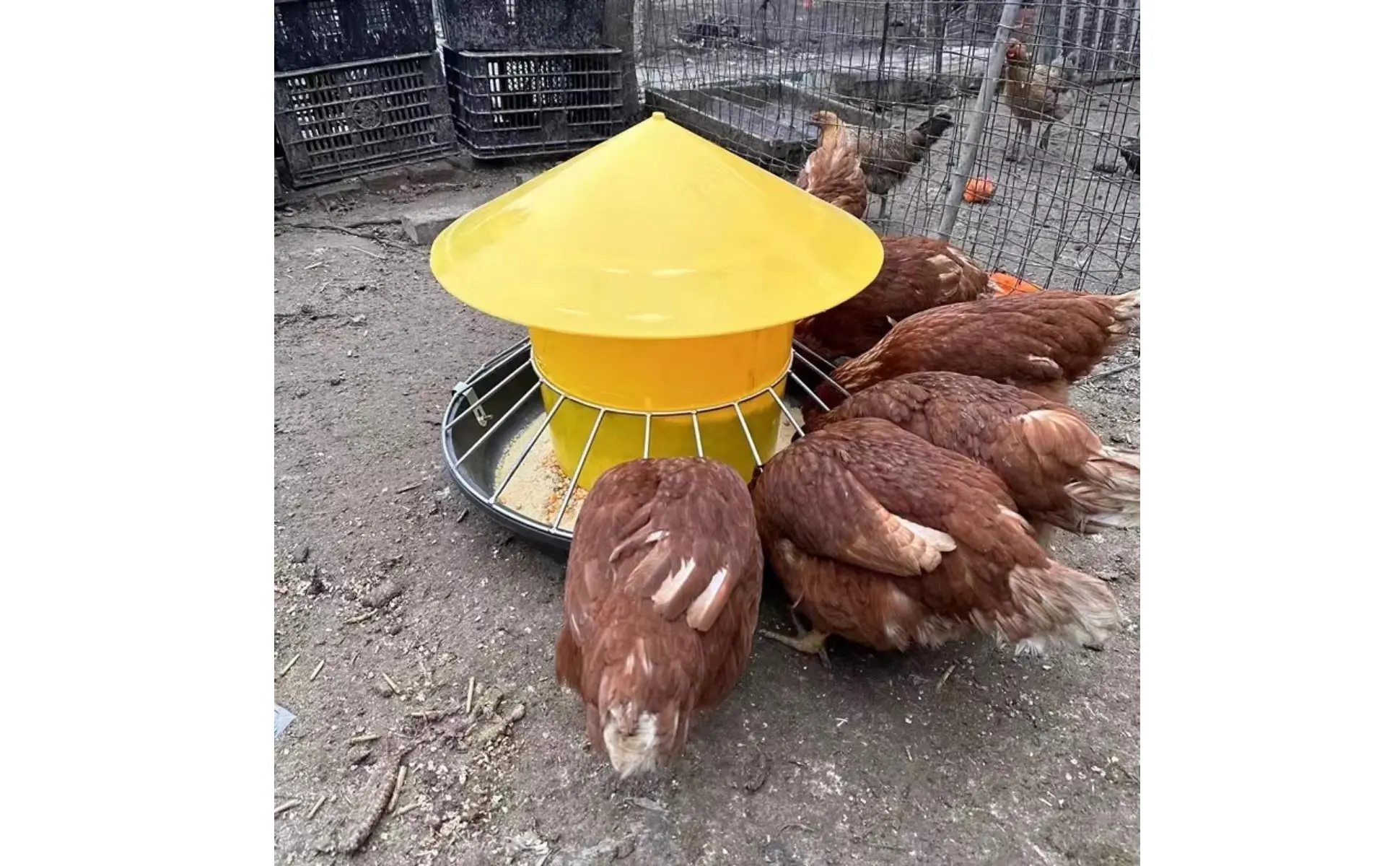 Round Fowl Feeder Large Capacity Fowl Feeder Chicken Feeding Trough Easy Installation Automatic Nourishment Container Anti-Perch