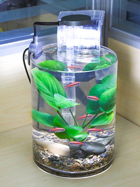 Round Fish Tank Glass Desktop Living Room Home Ecological Small Cylinder -  Aquariums - AliExpress
