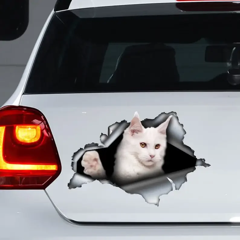 Decalcomania Per Auto Del Maine Coon Bianco, Decalcomania Per Gatti Bianchi, Adesivo Bianco Del Maine Coon