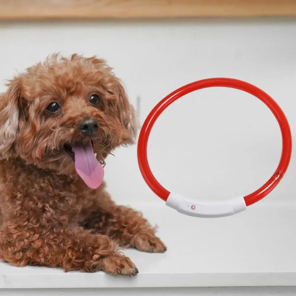 Collier Lumineux Chien DQGHQME LED Clignotant Collier, Collier pour Chien Lumineux Rechargeable